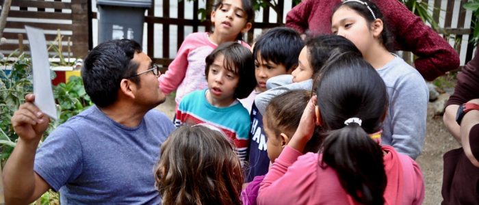 participació i acció comunitària